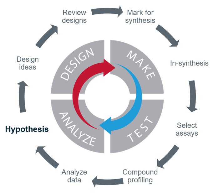 process of hypothesis generation