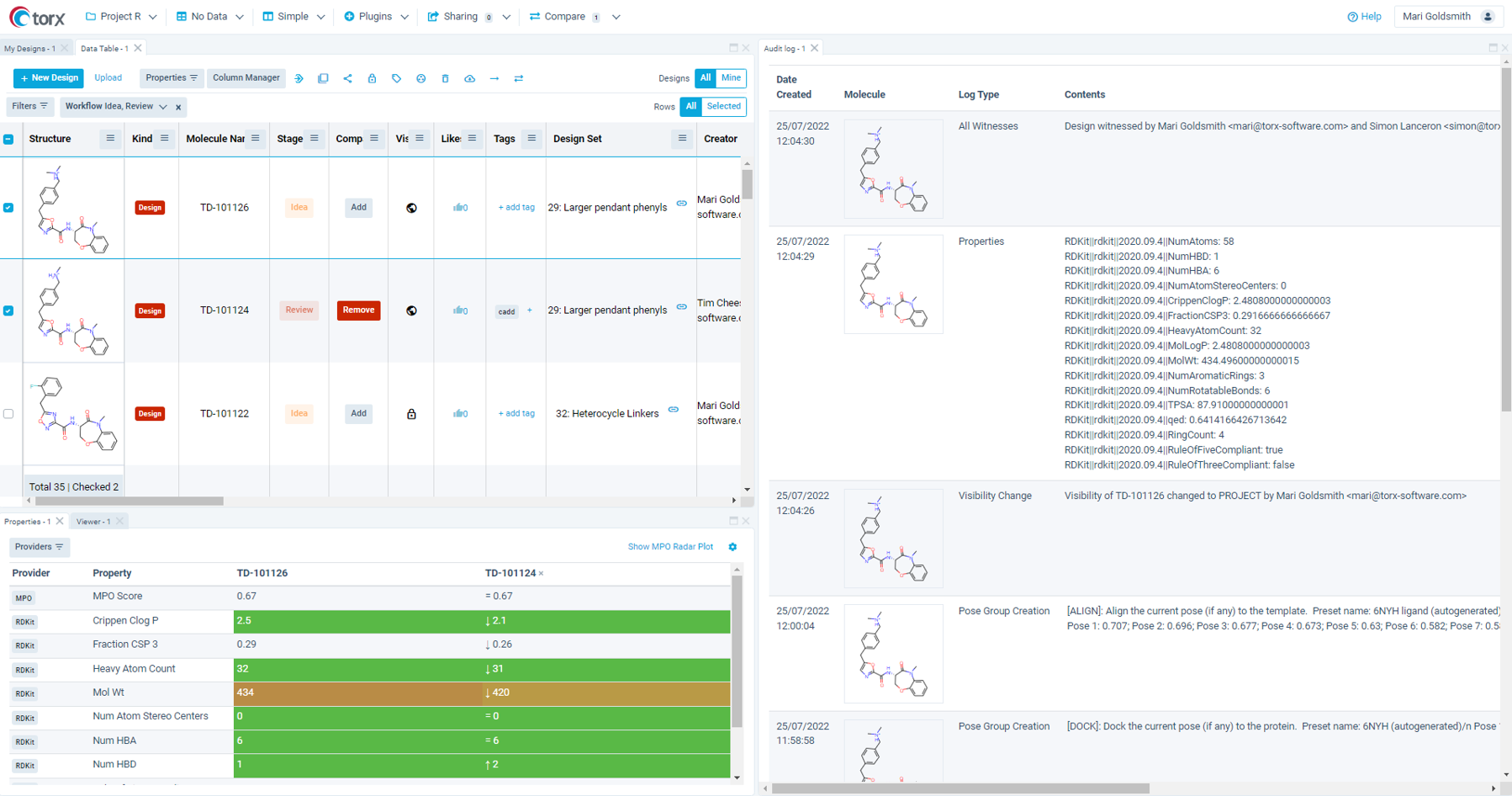 Figure 1. Users can create a custom environment in Torx Design